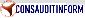 Логотип CONSAUDIT INFORM