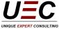 Логотип UNIQUE EXPERT CONSULTING