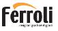 Логотип FERROLI-VOSTOK